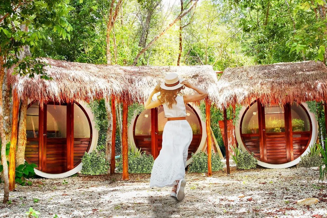 Kakao Coba Hotel & Cenote Experience المكسيك