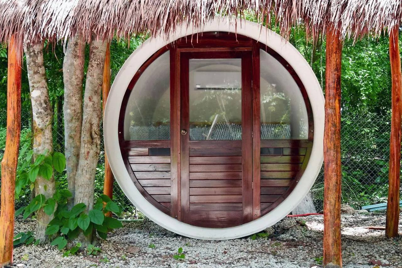 Kakao Coba Hotel & Cenote Experience المكسيك